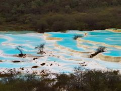 -黄龙山原始森林景区