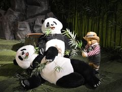 -成都泰迪熊博物馆