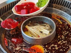 菌香鸳鸯锅-晓宇重庆火锅(赛格国际购物中心店)