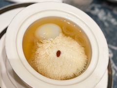 雪绒豆腐炖鸽蛋-扬州香格里拉·香宫中餐厅