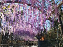 -红螺寺