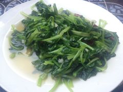 iphone_upload_pic-翕庐小苑