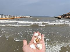 -那琴半岛地质海洋公园