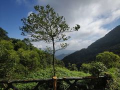 -梧桐山风景名胜区