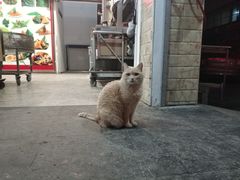 -赵记粽子(司前街店)