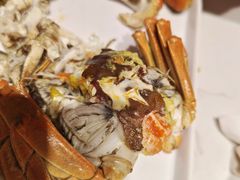-杨氏青龙虾·羊蝎子(托乐嘉店)