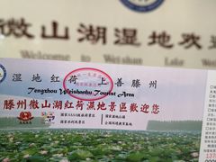 -滕州微山湖红荷湿地景区