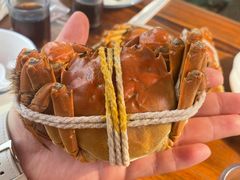 -丫丫蟹庄·苏式园林农家乐·阳澄湖大闸蟹(阳澄湖莲花岛店)