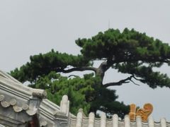 -妙峰山风景名胜区