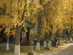 -宝光寺