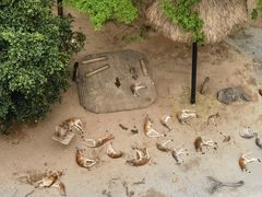 -广州长隆野生动物世界