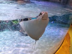 -沈阳海洋探索中心