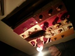 -维尔纳斯·生日蛋糕动物奶油冰淇淋蛋糕(人大店)