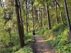 -金堂县云顶石城风景区