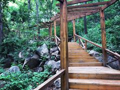 景点-大岭沟猕猴桃谷风景区