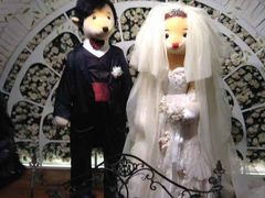 -济州岛泰迪熊博物馆