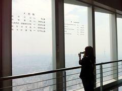 IMG_6386-紫峰大厦