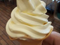 四国柚子冰淇淋-肯德基(堤口店)
