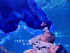 -重庆欢乐海底世界