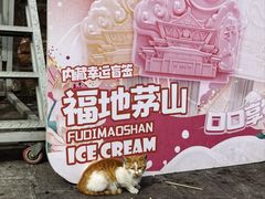 -句容茅山景区