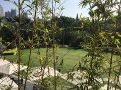 -棕榈泉国际高尔夫学院