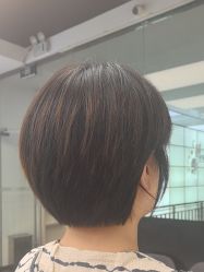 -YESIDO椰岛造型
