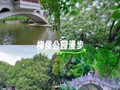 -柳侯公园