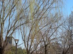 -元大都城垣遗址公园