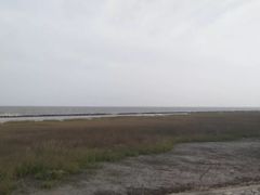 景点-南汇嘴观海公园