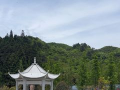 -大围山国家森林公园