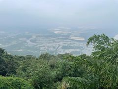 -海南铜鼓岭景区