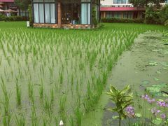 -洪湖家庭农场·团建·露营·会议