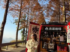 -泽雅七瀑涧景区