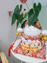-和颜一美轻医美连锁