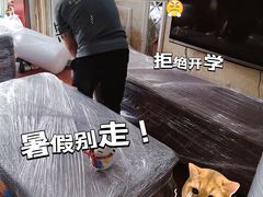 -北京兄弟成功搬家整理收纳