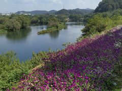 -婺源月亮湾