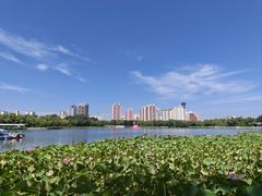 -莲花池公园