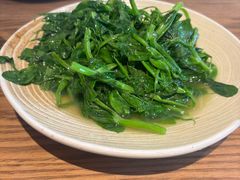 清炒豌豆尖-金孔雀德宏傣味餐馆(魏公村店)