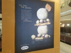 -哈根达斯(青岛海信店)