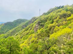 -妙峰山风景名胜区