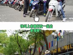 -圣约瑟夫大教堂