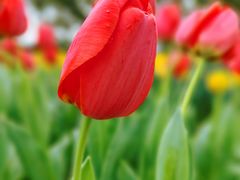 -玄武湖景区-情侣园游乐场