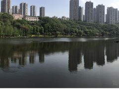 -重庆彩云湖湿地公园