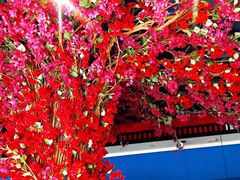 -六月雪干锅(绵阳王府井百货店)