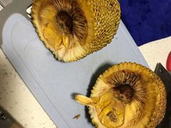 -三亚新鸿港水果一级批发市场