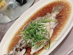 -常州环球恐龙城维景国际大酒店