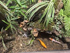 -梅间堂茶馆(绿地缤纷城店)