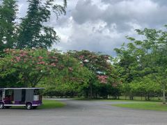 -中国科学院西双版纳热带植物园