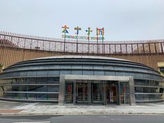 -爱丽丝冒险奇遇记