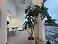 -JNK皮肤管理中心